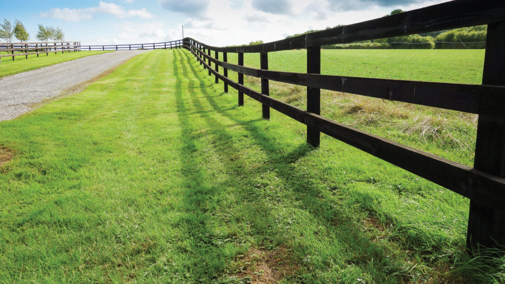 Paddock fencing