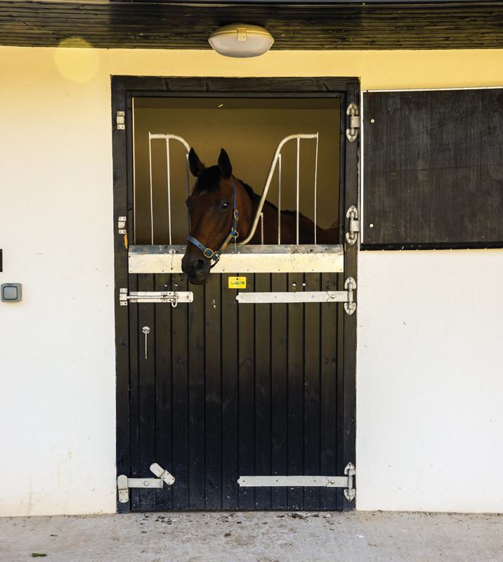 Stable door with anti-weave